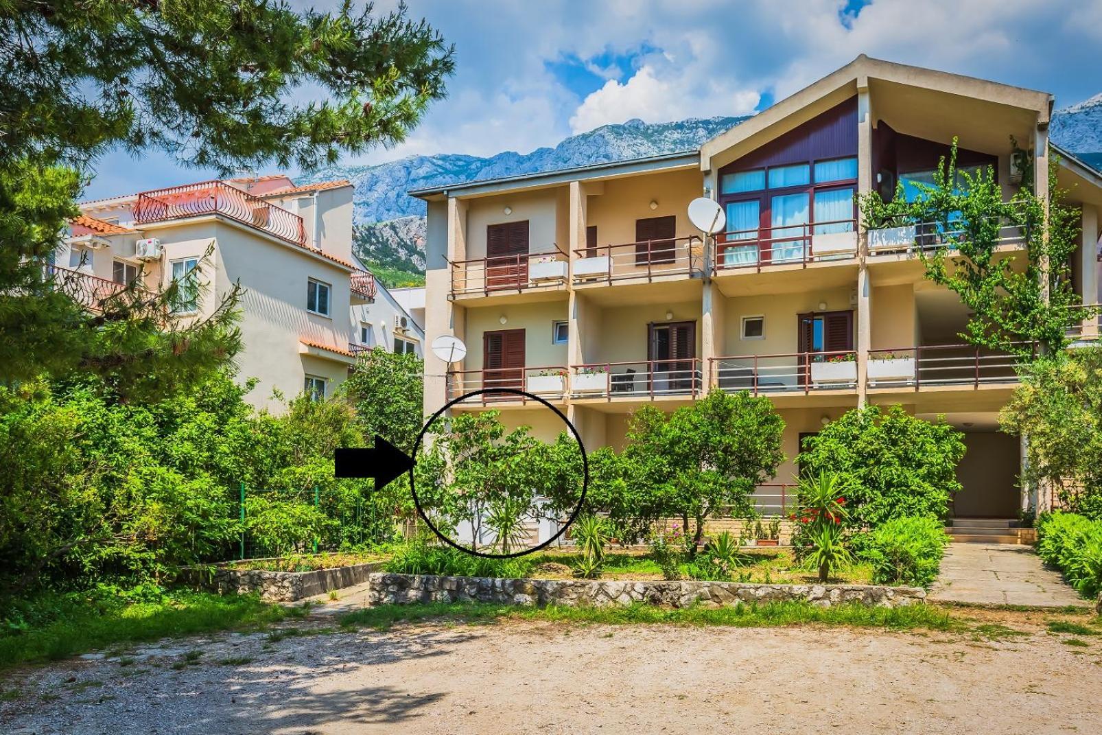 Apartments Agneza Tucepi Tučepi Exterior foto